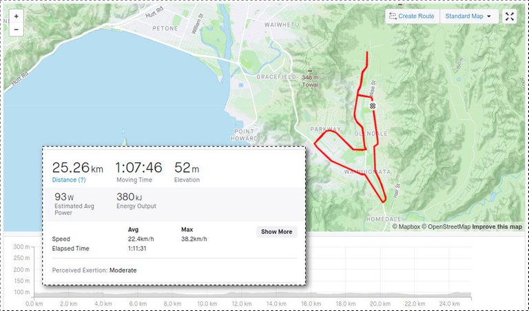 Strava Map/Stats