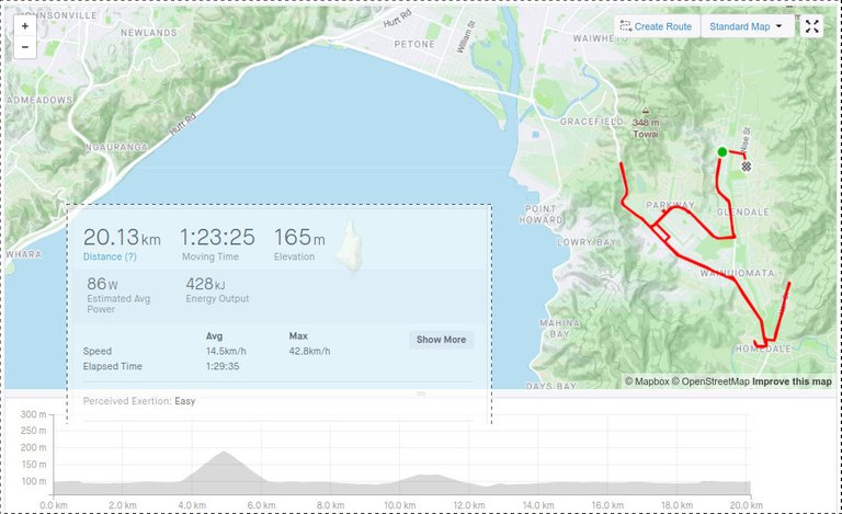 Strava Maps and Stats