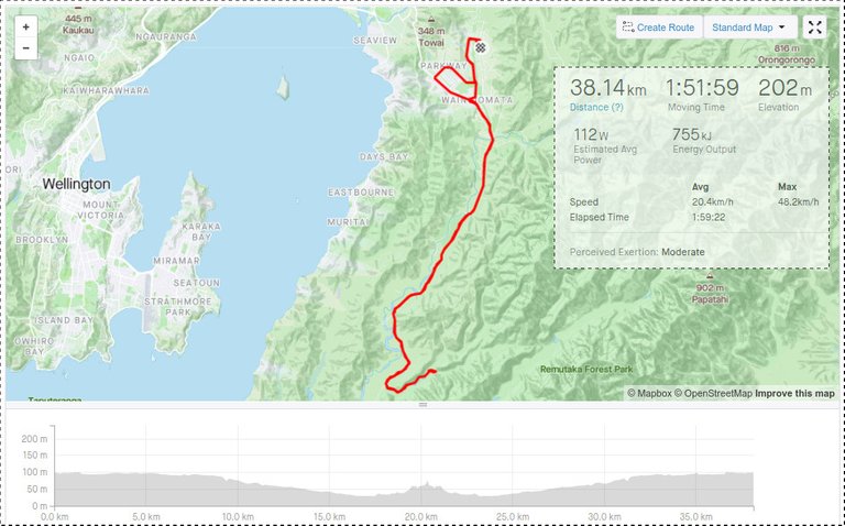 Strava Map and Stats