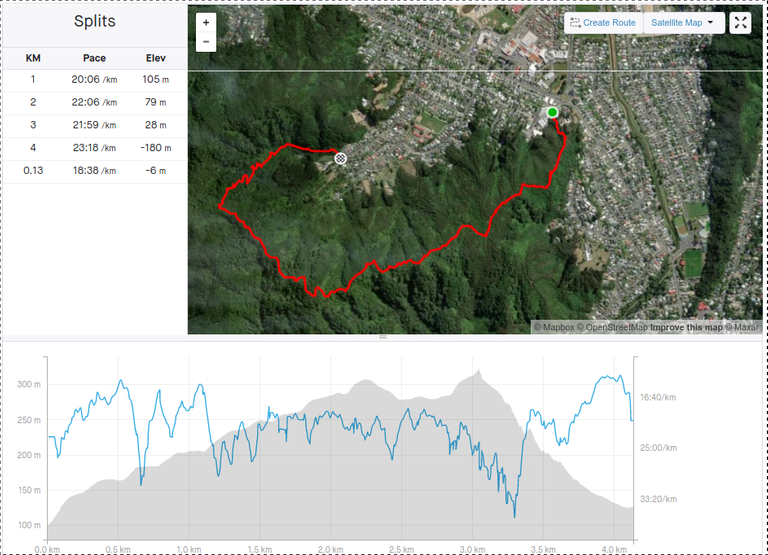 Strava Map