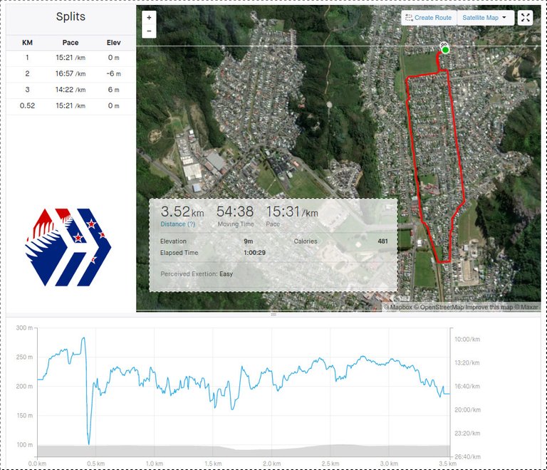 Strava Map/Stats/Hive Logo