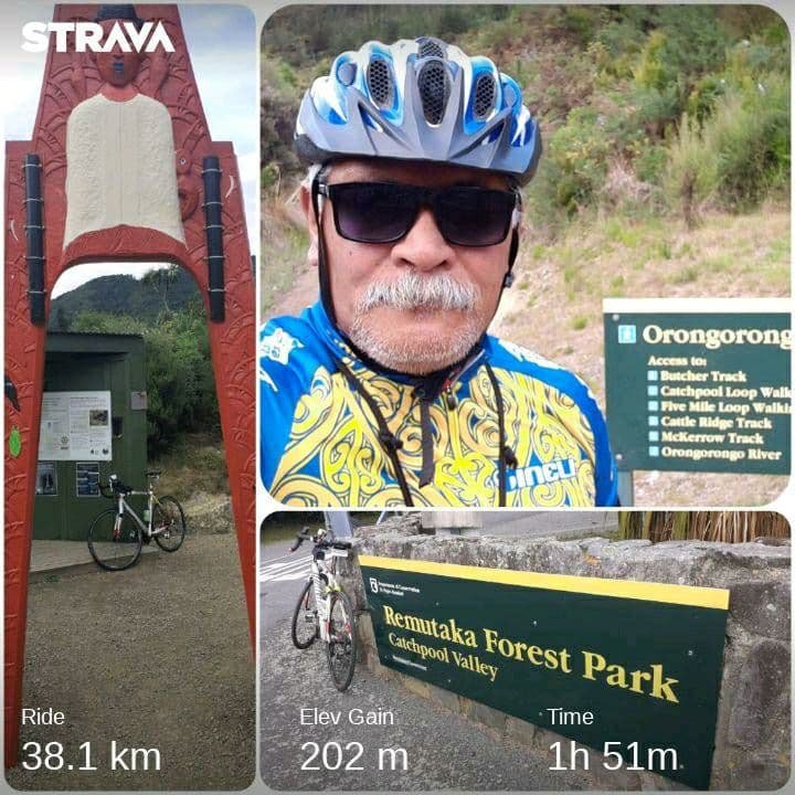 Ride Collage: Rimutaka Forest Park Trail Head