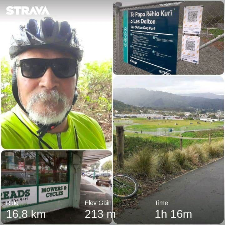 New Dog Park, Wainui has it's own Cycle Shop