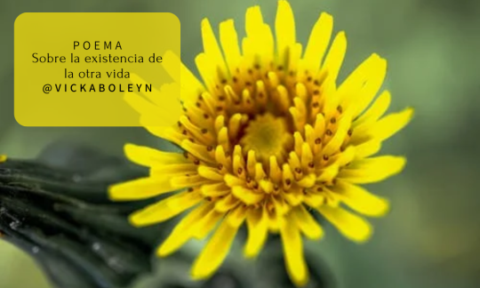 Poema: Sobre la existencia de la otra vida