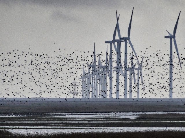 Wunderschöne Stromspargel: Die Ästhetik der Energielandschaften