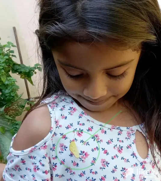 My daughter releases a butterfly + (I used the Liketu editor)
