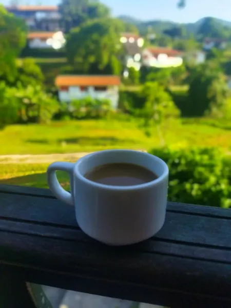 ☕ Colada Power
