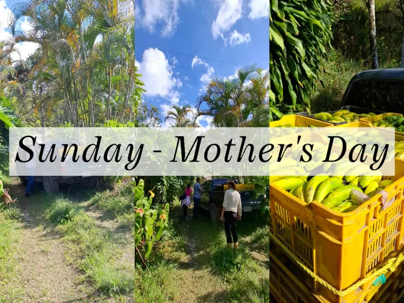 Sunday - Mother's Day
