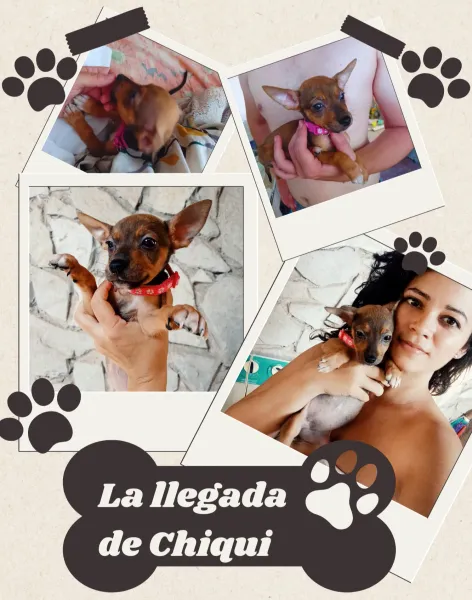 La llegada de Chiqui [ESP-ENG] 