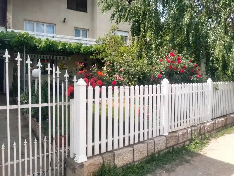 不是红杏，也出墙来了！flowers in Zagubica street 