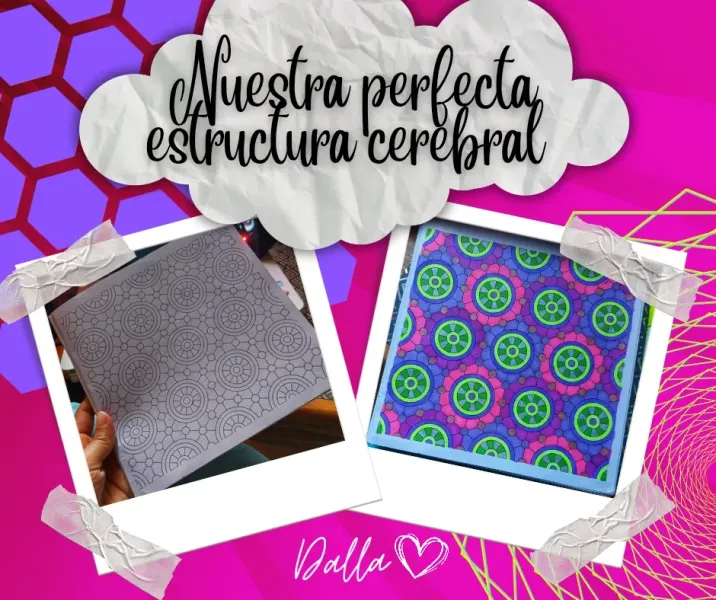 Nuestra perfecta estructura cerebral [ESP-ENG]