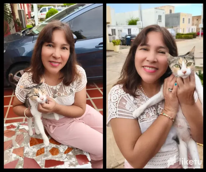 Adoptamos a Agata, una Hermosa Gata Calicó que no se lleva bien con Nina (ESP/ENG)