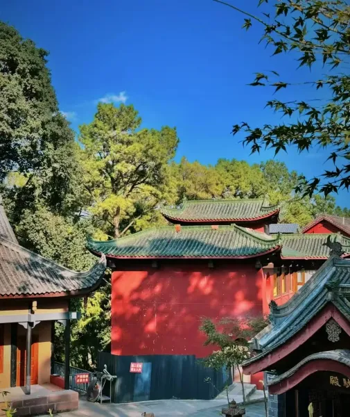电影不说话的爱 — 张艺兴演技再上高度