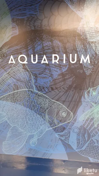 El acuario de la Habana Vieja
