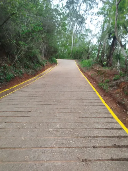 Cortafuegos con Greth 💚🏃🏻‍♀🔥
