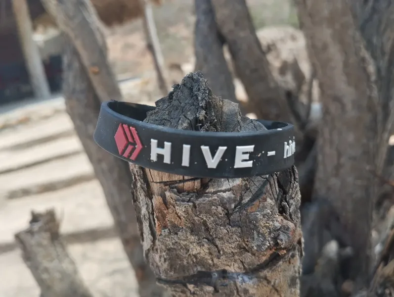 Mi Pulsera para todas partes/Día 2  📷 HiveAroundTheWorld 🌎🚀