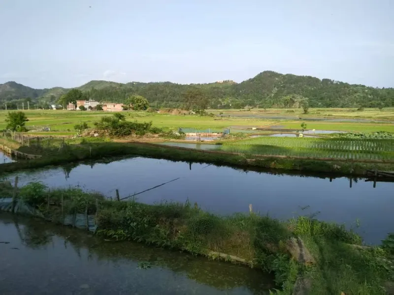 空气还是老家乡