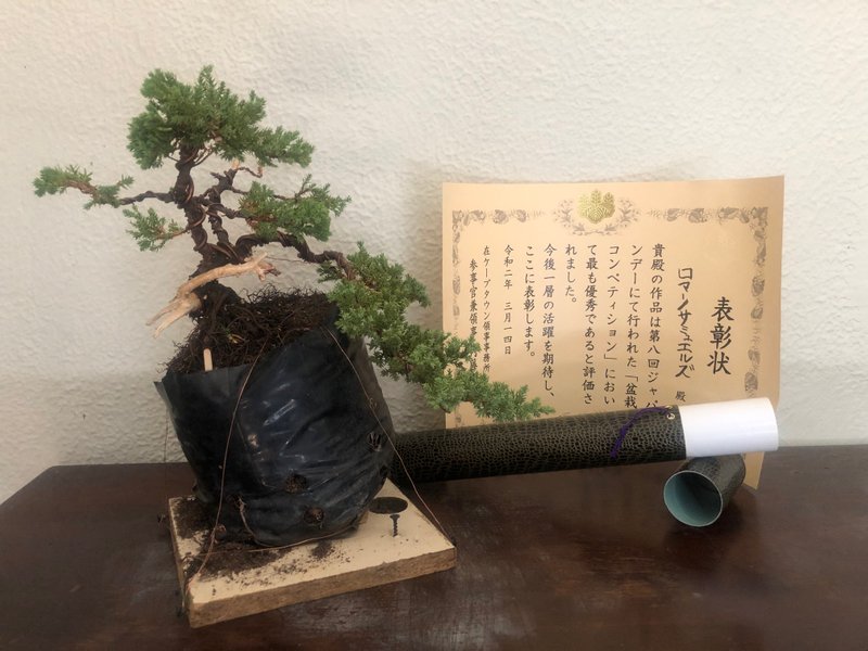 Japanday 2020: Young Talent Competition