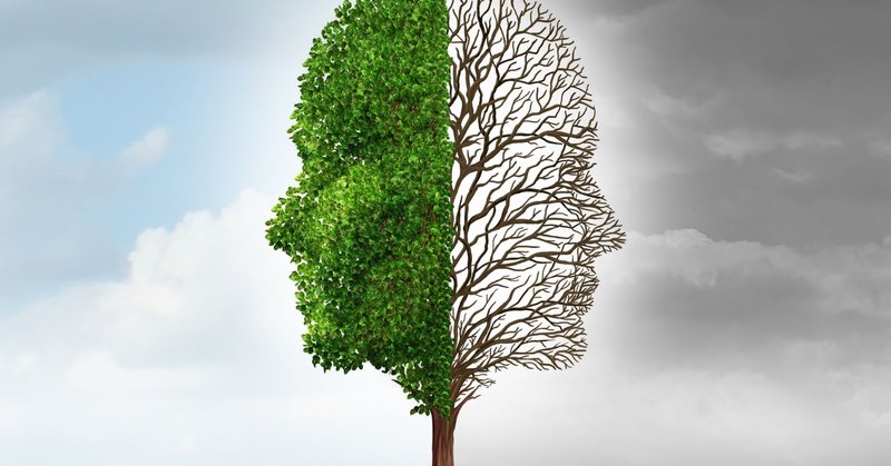 10 Principles for Elevating Intelligence and Understanding