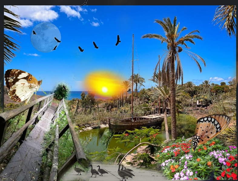 LMAC 181.. COLLAGE 