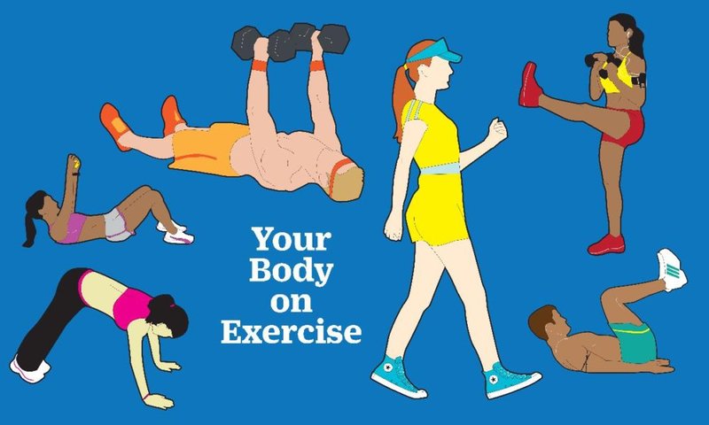 A Systems Approach to Exercise Science: How exercise affects the body