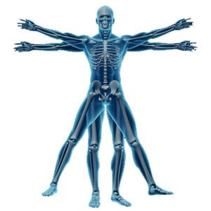 What is Exercise Science and Why is it Important?