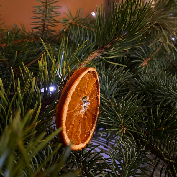 How to Make Dehydrated Oranges for Christmas | Traditional Homemade Christmas Decor | Day 5