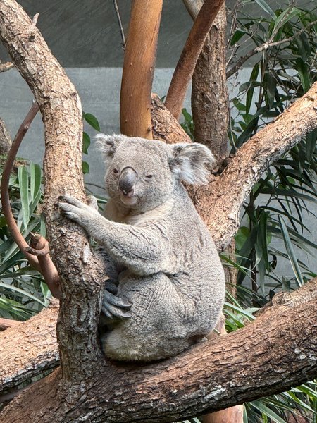 Along the zoo
