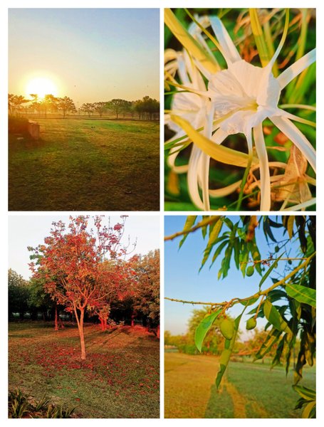 Excited for the Happy Morning 🌄🙂 with these stuff of nature 😊