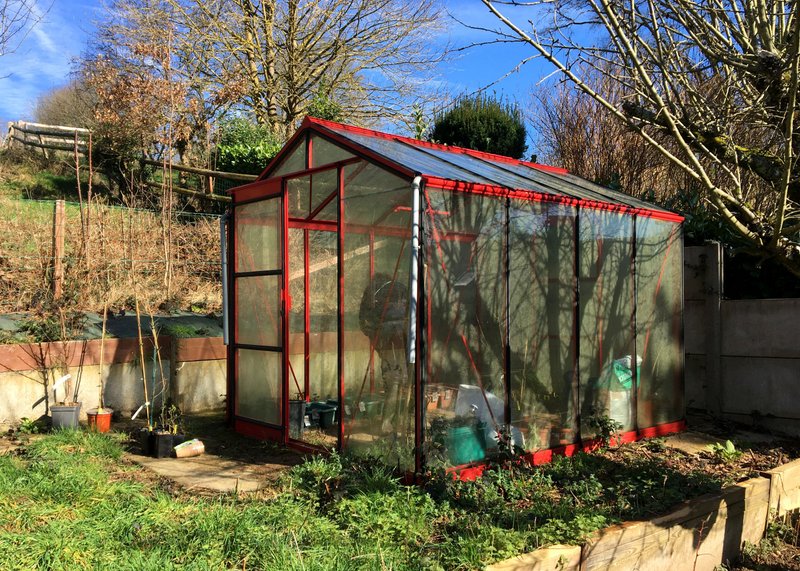 What's going on in this little red Greenhouse ?