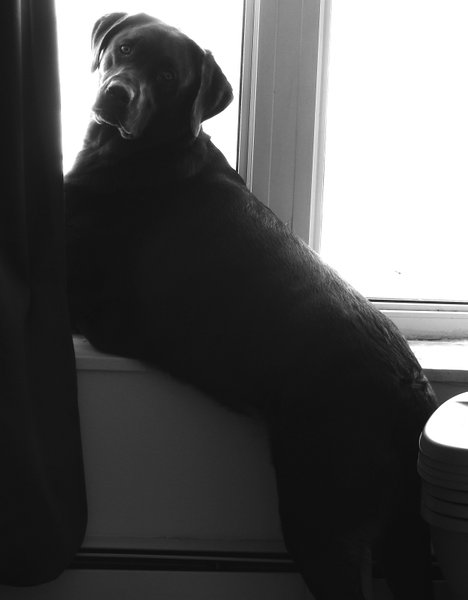 First Post On HIVE! Some Black And White Photography