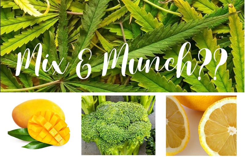Herbal Interactions: How Food Intake Can Affect Cannabis Absorption