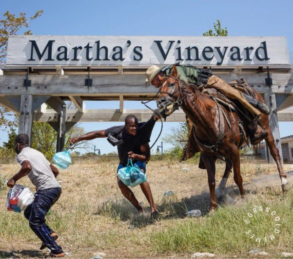 Migrating Through the Vineyard of Martha