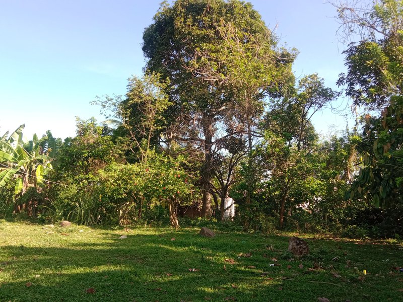 A Well Spent Weekend At The Farm