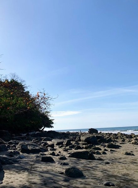 Some beautiful beach scenes with an element of life.