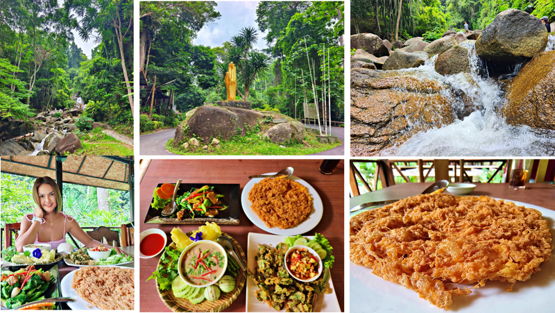Hidden Flavors in the Forest 🌳🍛