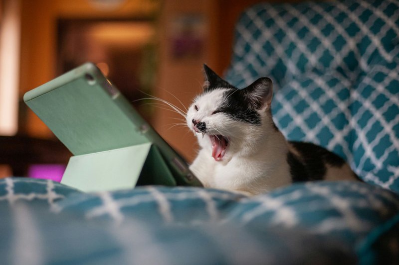 Singing My Therapy Method