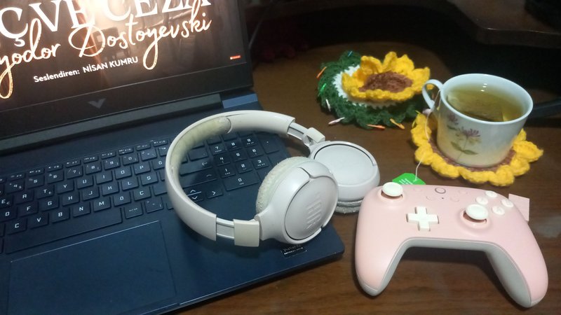 I bought 8BitDo Ultimate 2C Controller (Tr-En)
