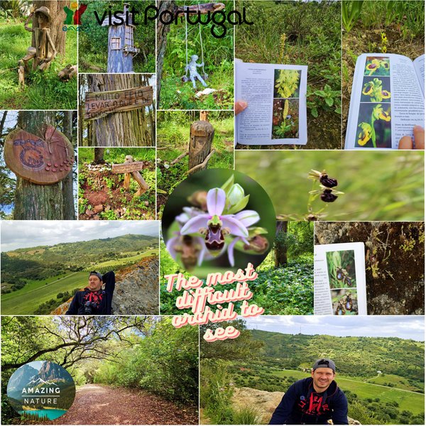 The Most Difficult Orchid🌷📕 / La Orquídea Más Difícil 🧭🏔️ (En-Es)