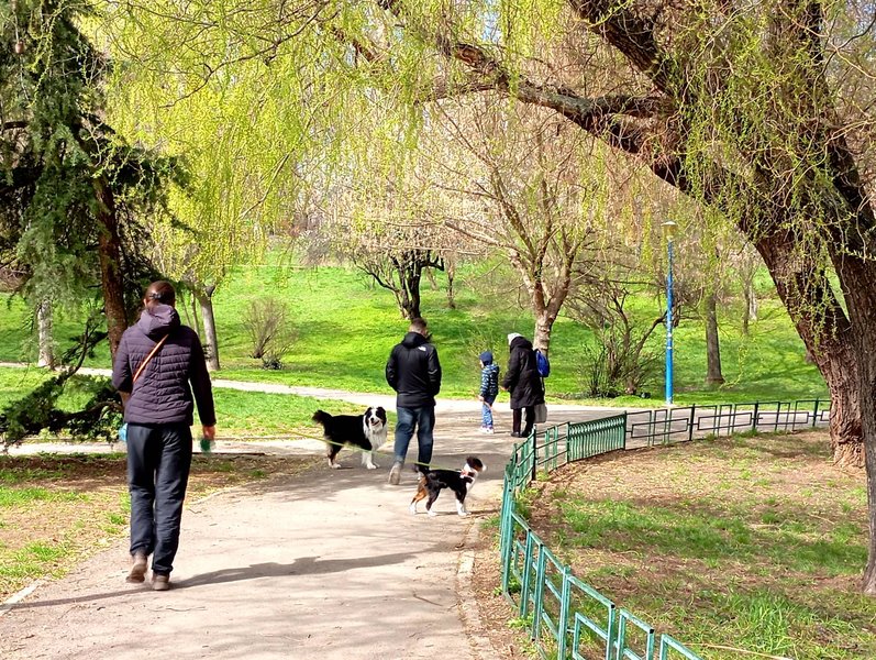 Same park, different season