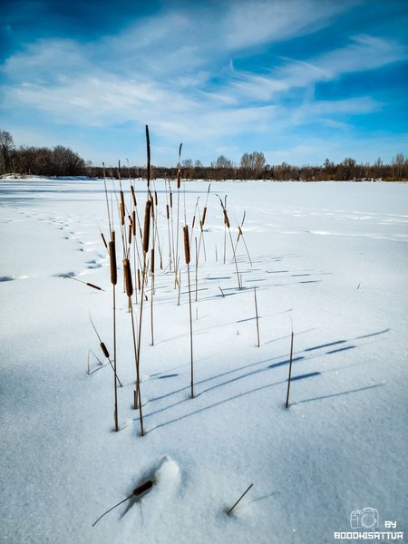Winter sketches. Triptych