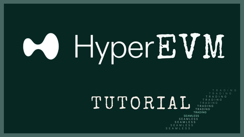 HyperEVM  - An Opportunity You Don't Want To Miss (Tutorial)