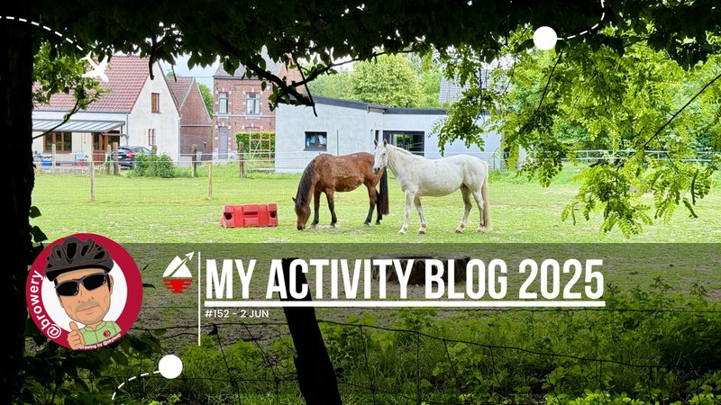 My Activity Blog 2025#152