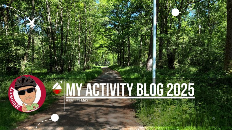 My Activity Blog 2025#132