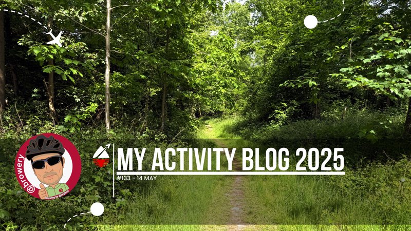 My Activity Blog 2025#133
