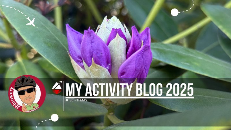 My Activity Blog 2025#130