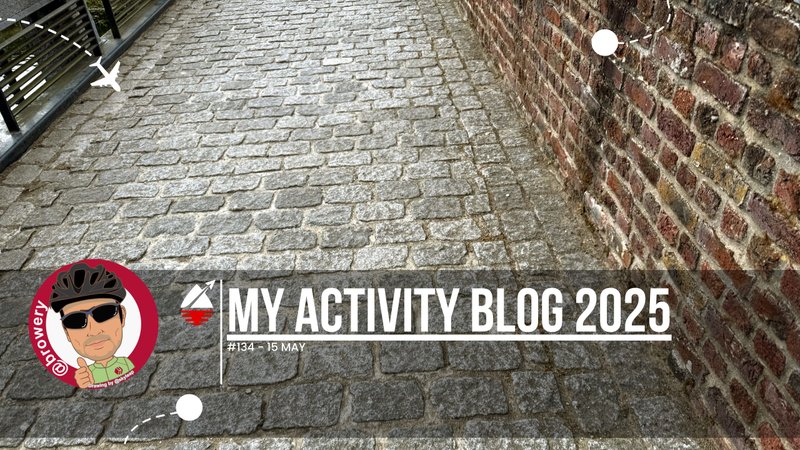 My Activity Blog 2025#134