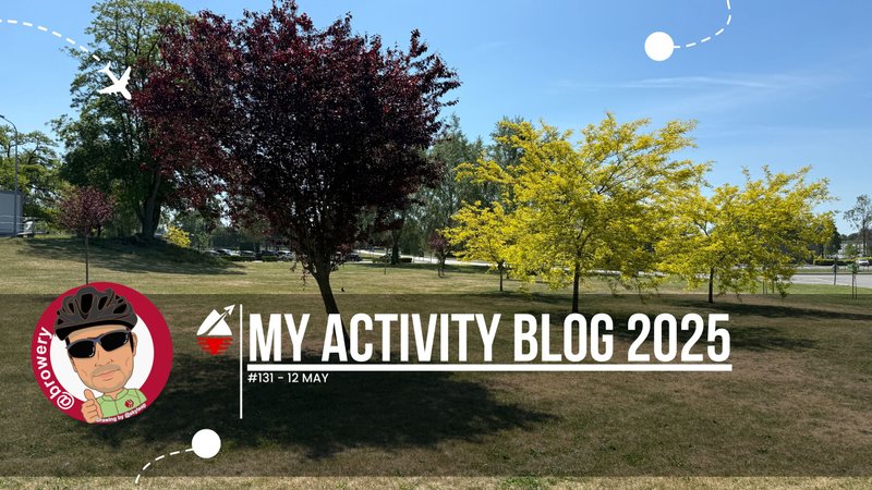 My Activity Blog 2025#131