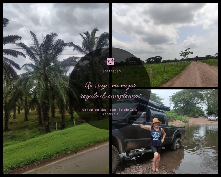 Viajar es añadir VIDA a la VIDA 😃🦉  Travel is adding LIFE to LIFE