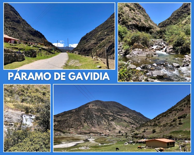Stroll in the Páramo de Gavidia mountains in Mérida - Venezuela
